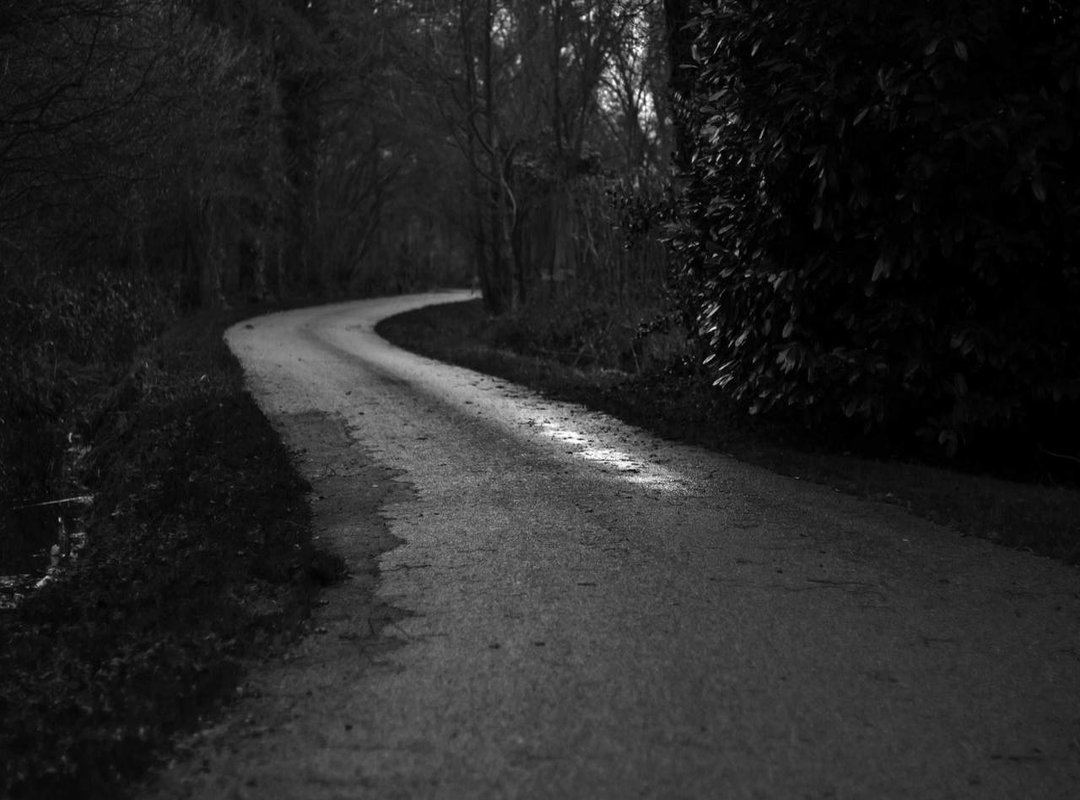 The Final Verdict: Is Tomato Soup a Top-Tier Recipe?