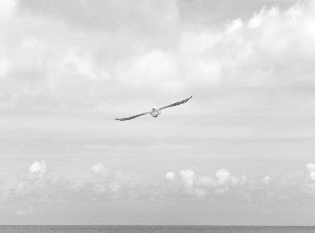 A Closer Look: Evaluating Fiona's Massage Redcliffe