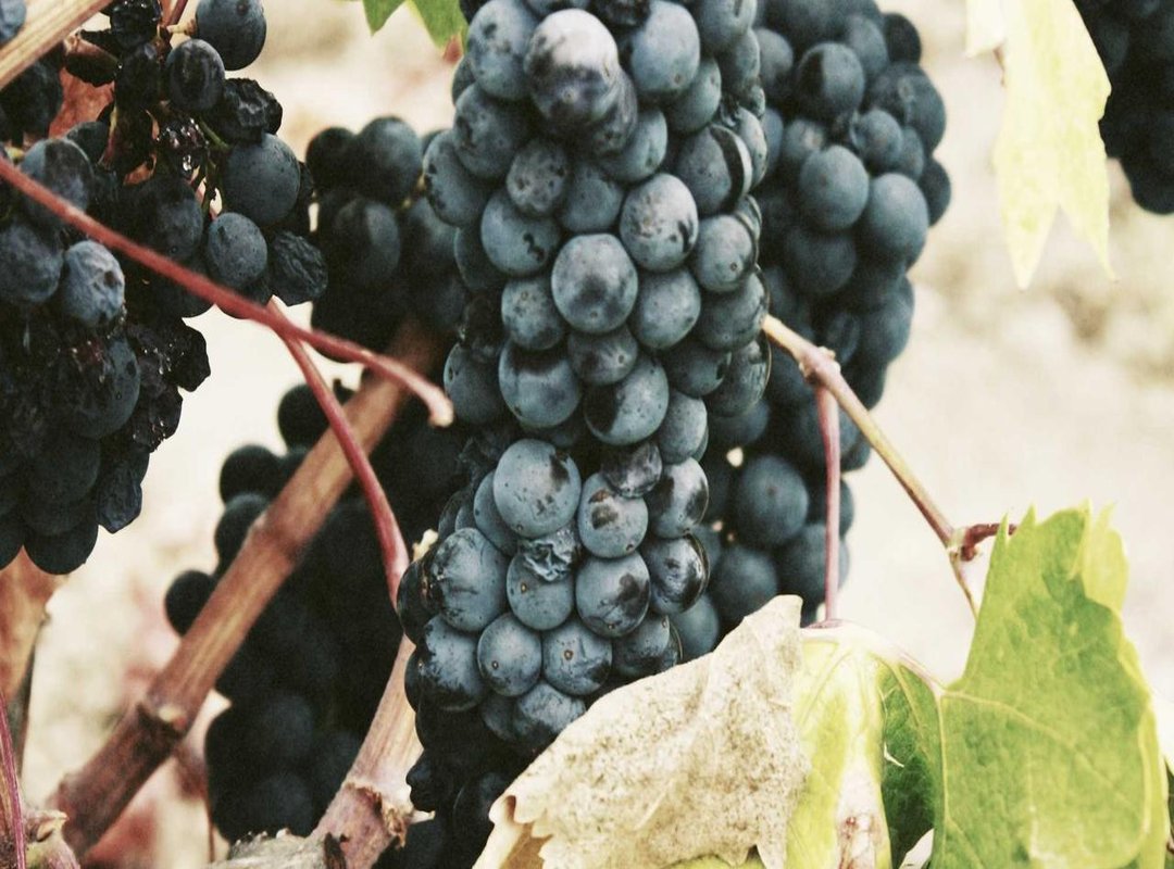 More Than Words: How to Write the Perfect Card Message