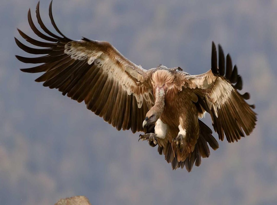 The Inciting Incident: What Kicks Off the Story