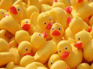paper duck kleurplaat printen
