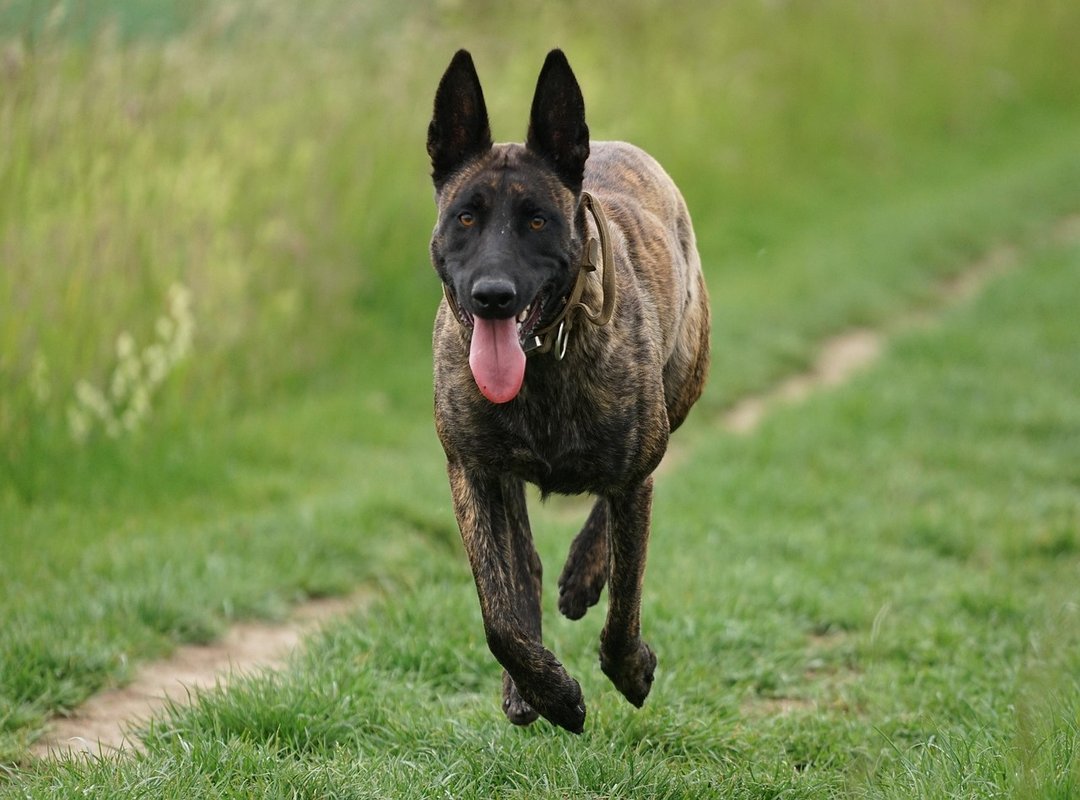 A Quick Guide to Downloading Your Song Legally